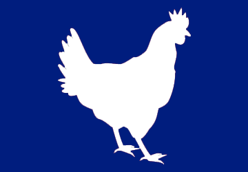 pollo-1