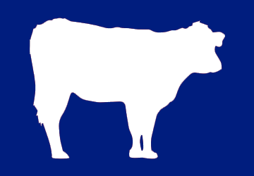 vaca-1