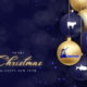 Asterivet wishes you happy holidays!